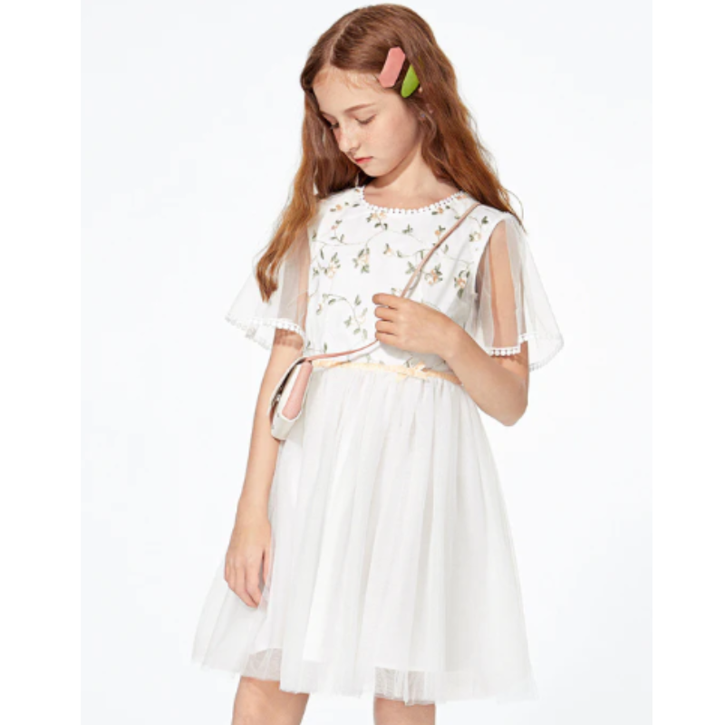 Tilly Tulle Embroidered Dress