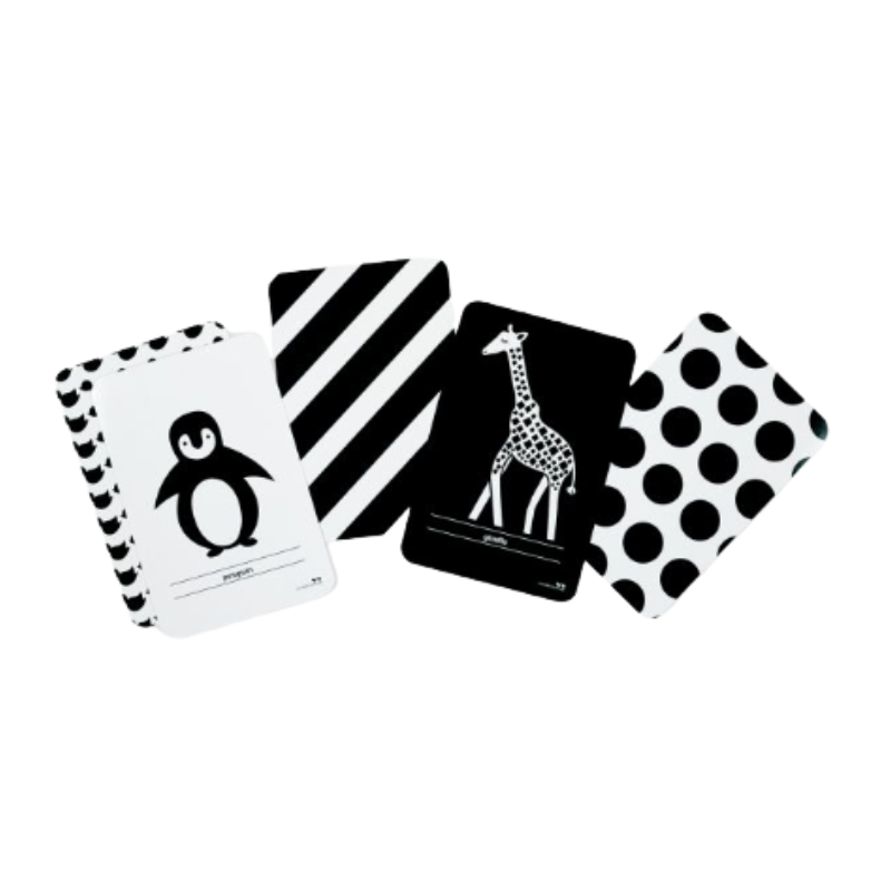 Flash Cards - High Contrast