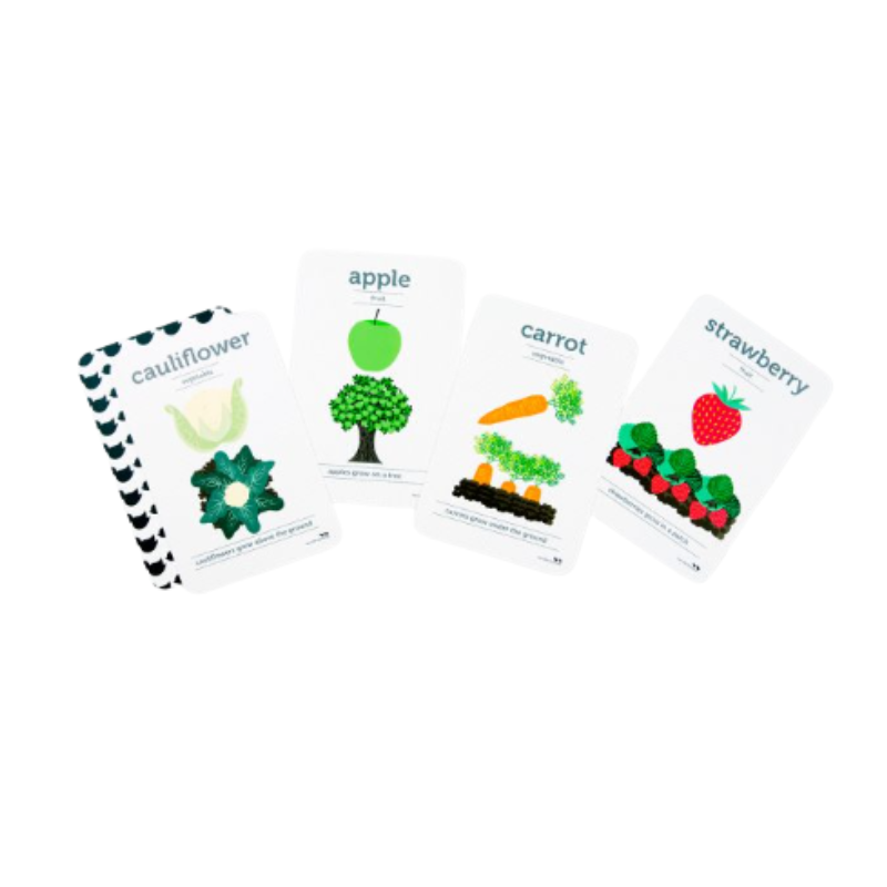 Flash Cards - Fruit and Vegetables