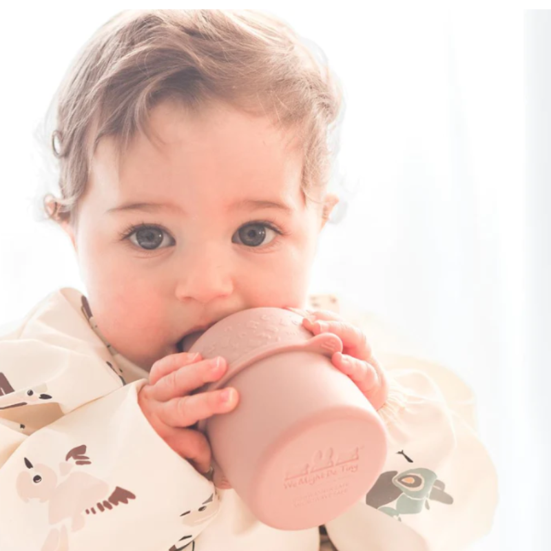 Sippie Cup Set Dusty Rose