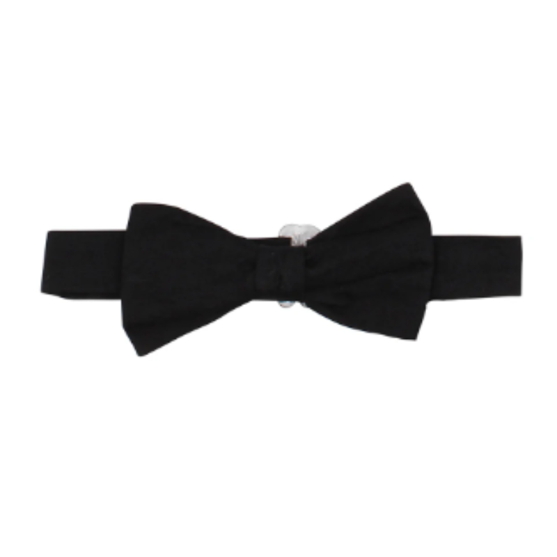 Hudson Bowtie