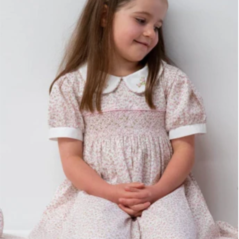 Millie Smocked Embroidered Dress