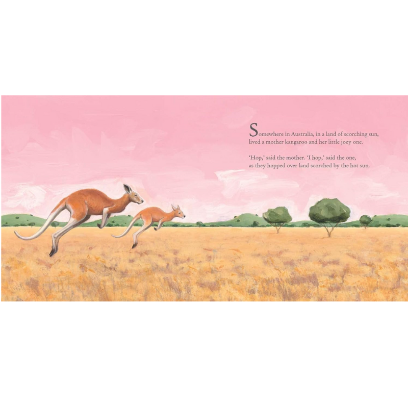 Somewhere In Australia Board Book