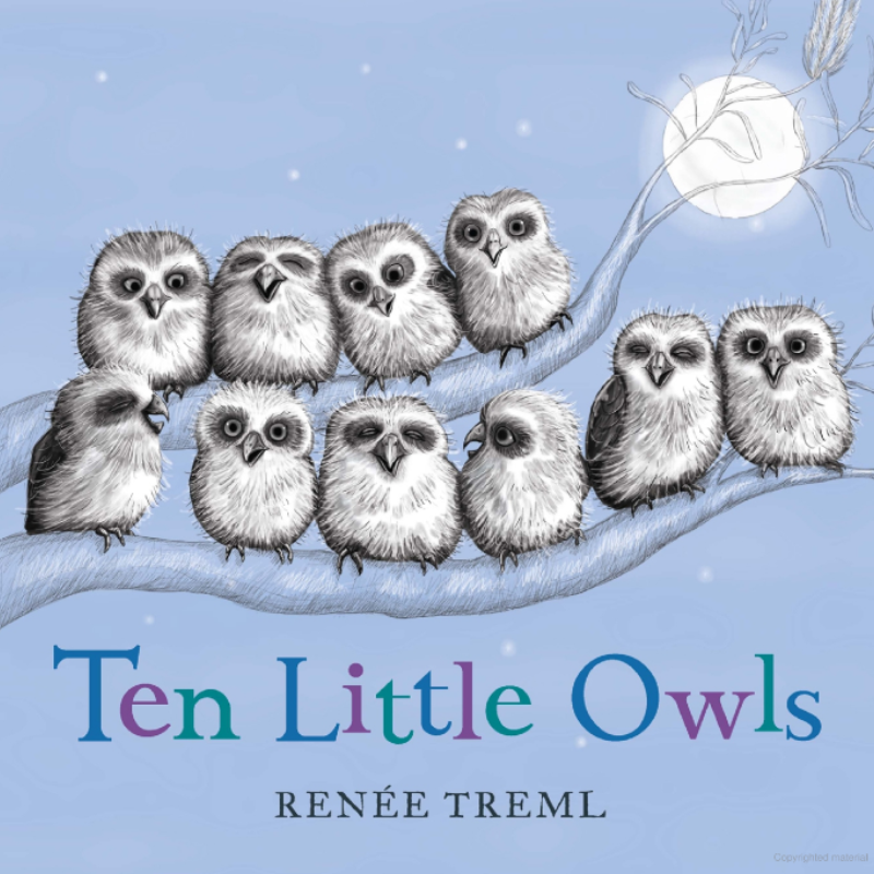 Ten Little Owls Board Book