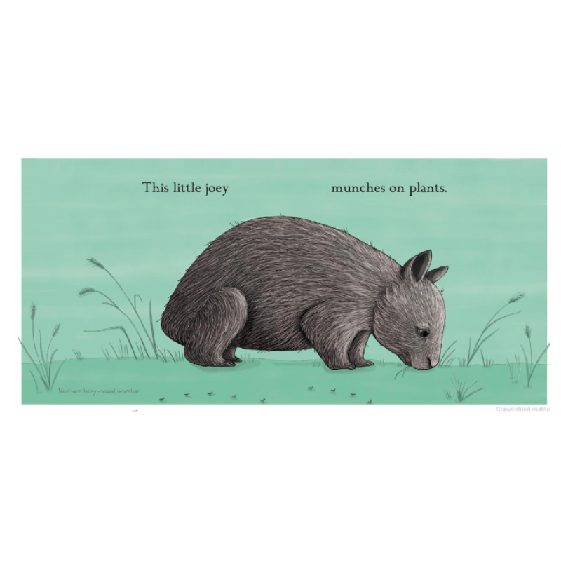 This Little Joey Board Book