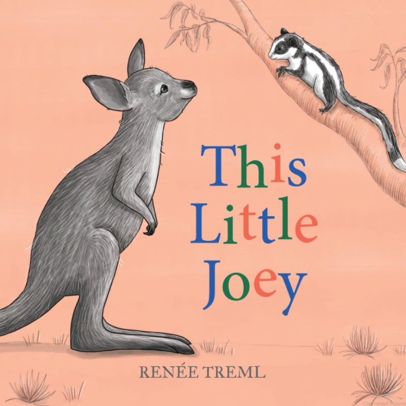 This Little Joey Board Book