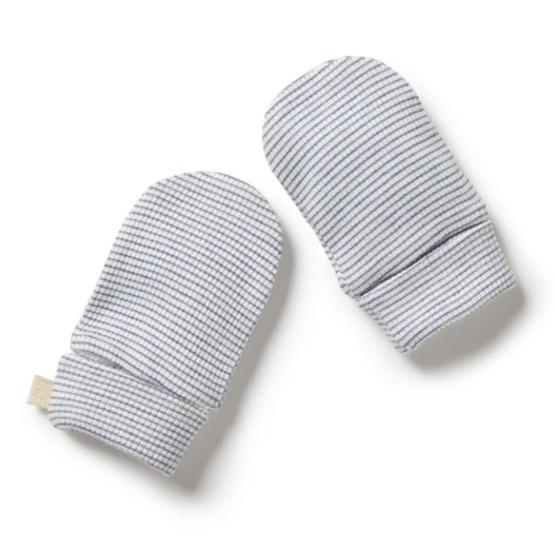 Organic Stripe Rib Mittens Rain Drop